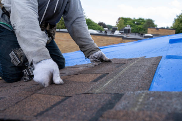 Best Roof Gutter Cleaning  in Leonardo, NJ